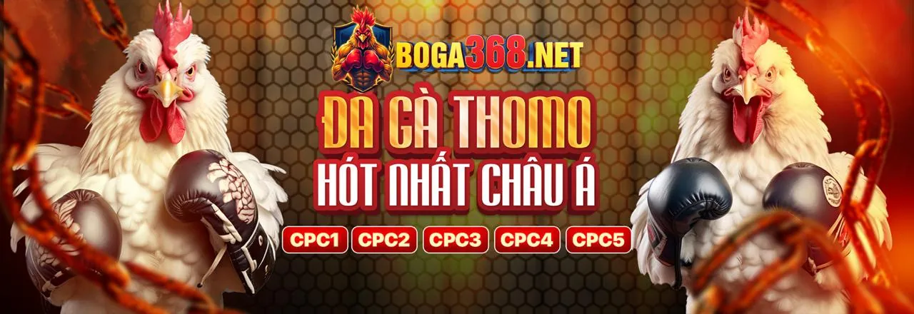 Câu hỏi thường gặp W88HN